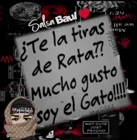 salsa Baul ♥️ #salsabaul #salsa #ayermedijeron #estadosparawsp #bandidos👹🥷🏾 #salsaboleta🇻🇪 #paratiiiiiiiiiiiiiiiiiiiiiiiiiiiiiii #imagenes #insoportable🐼 