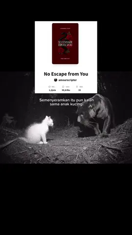 #wattpadrekomendasi #wattpad #rekomendasiwattpad #fiksi #noescapefromyou 