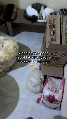 #masyaallahtabarakkallah #bimafemi #ponorogo24jam #lamaranmoment 