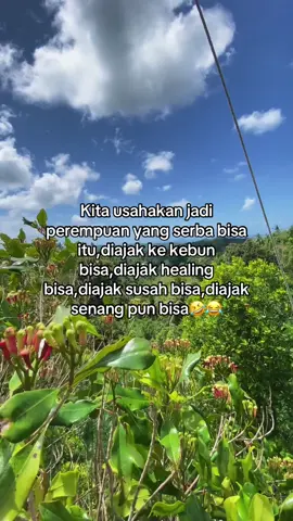 Menyala🔥 #petanimuda #duit #fypage #cengkeh #berandafyp 