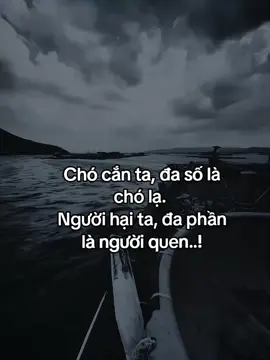 咬我们的狗大多是陌生人。 伤害我们的人大多是熟人……！