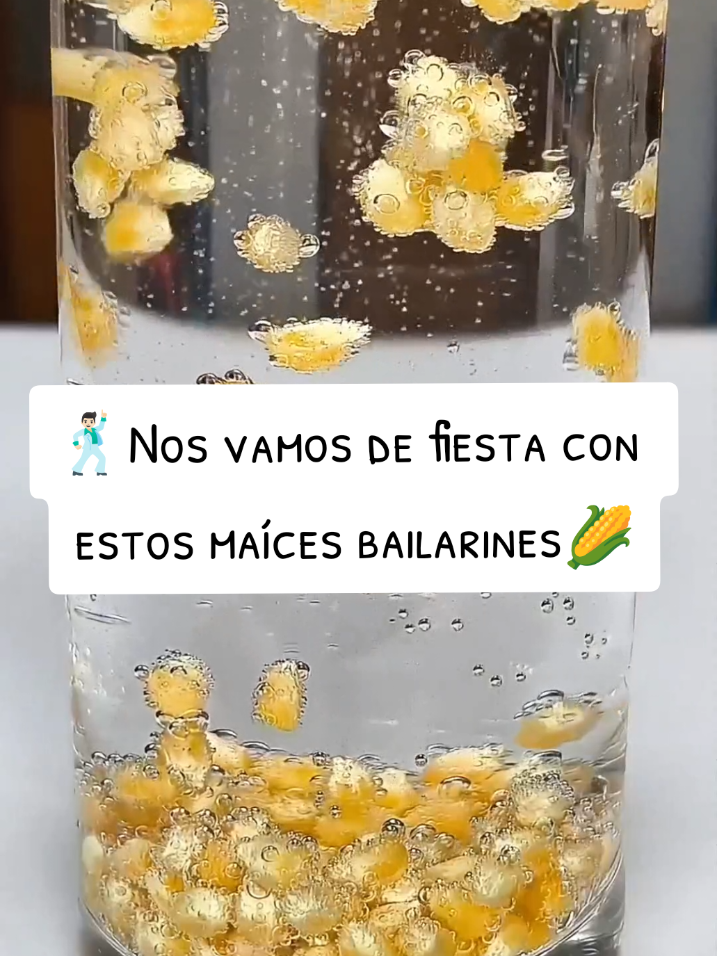 ¿Magia? ¡No, ciencia! 🧪✨ Mira cómo estos granos de maíz bailan gracias a una divertida reacción entre bicarbonato y vinagre. Una actividad sensorial y educativa perfecta para niños curiosos. ¿Te atreves a probarlo en casa? 👩‍🔬👨‍🔬 #reaccionacidobase #cienciaentiktok #experimentoscaseros #ideasparaprofes #niñosfelices  #actividadesparaniños 