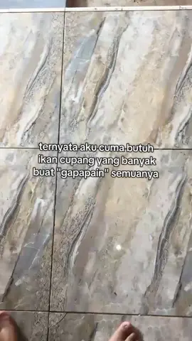 #ikancupanghias #cupanghias #bettalover #bettafish #fypシ゚viral #cupangcepeng #trend #fyp #ikancupang #hobi #fyp #trend 