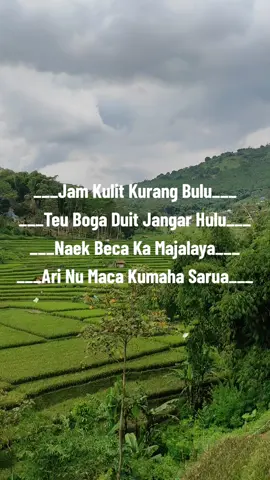 Tos Lami Teu Post #katakata #lucu_ngakak #katakatalucu #katakatasundalucu #status #statuswhatsapp #statusparawhatsapp #urangsunda #majalaya #ngakak #statuslucu #fyppppppppppppppppppppppp #gaskeun #sarehatsadayanadulur_dulur🤲 