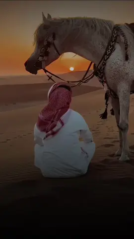 #أكسبلور_شعر_حكم_خواطر 