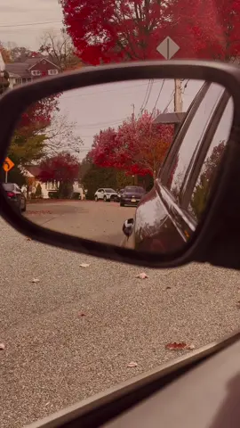 Autumn is coming 🍂 #fyp #autumn 