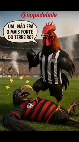 Aqui é Galo!!🐔🖤🤍✌🏻😎😁 ,  ,  #aquiegalo #galodoido #galaodamassa #atleticomineiro #galo 🐔💪🖤🤍✌🏻😎😁