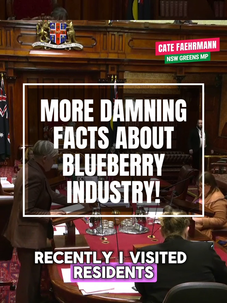 I promised more explosive facts about the toxic blueberry industry on the Mid North Coast. Here they are. 