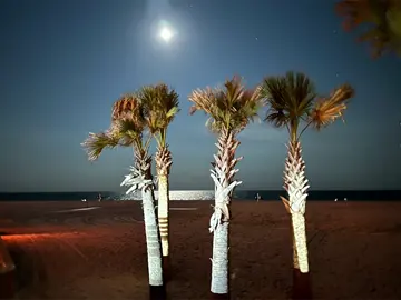 The moon in Gulf Shores Alabama tonight 