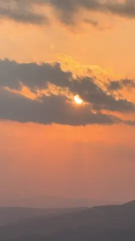 #🕊️ @Leyla Rəhimova 