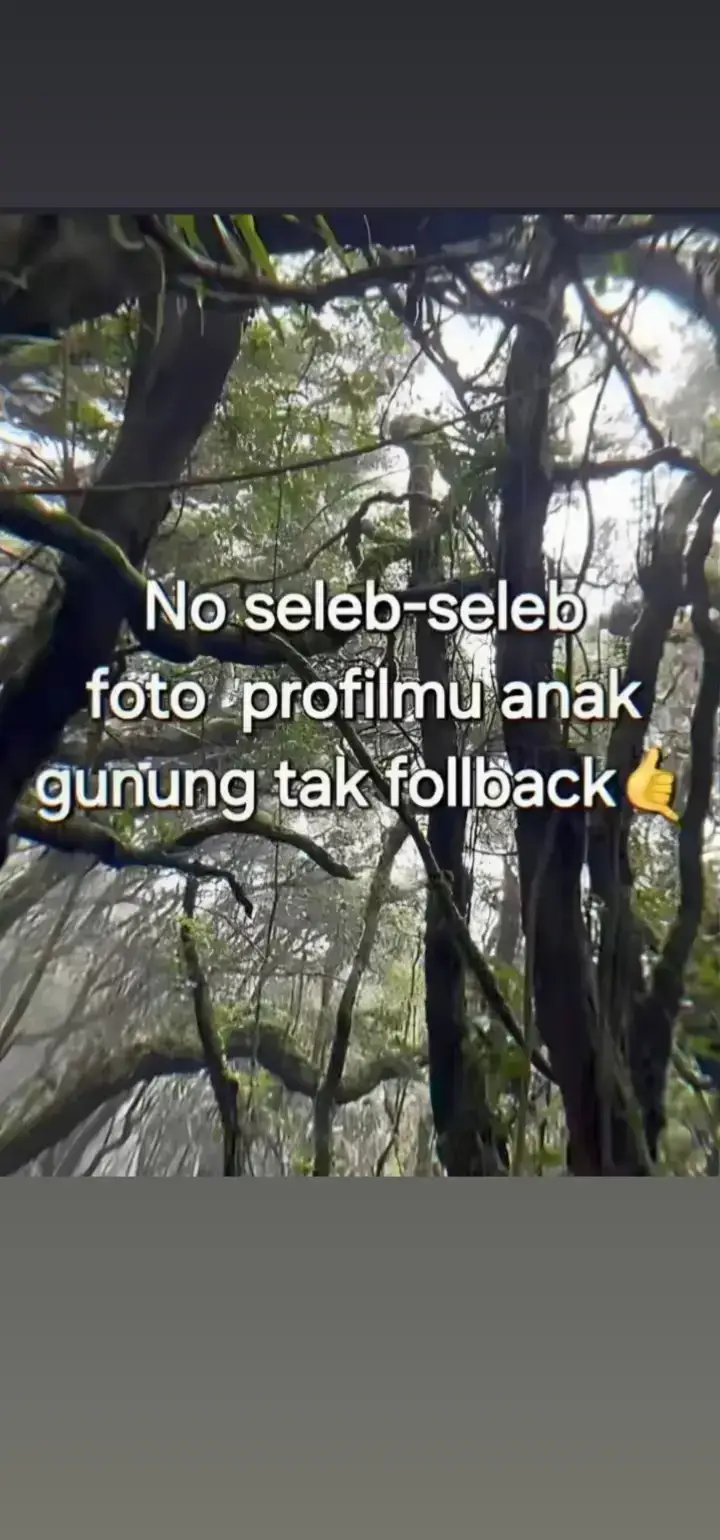 #pendakifomo #fouryou #4k #fyppppppppppppppppppppppp 