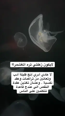 نعيش ونشوف من هالبشر 😇… #الكويت🇰🇼 #جيل_الثمانينات #طاقتك_الايجابية #حب_الذات_وهدوء_النفس😊 #feminist 