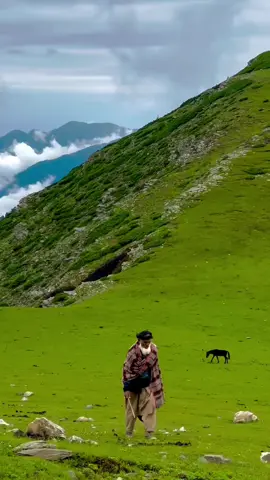 Feel the vibes  𝗗𝗠 𝗳𝗼𝗿 𝗖𝘂𝘀𝘁𝗼𝗺𝗶𝘇𝗲𝗱 𝗮𝗻𝗱 𝗽𝗿𝗶𝘃𝗮𝘁𝗲 𝗧𝗿𝗶𝗽 𝘁𝗼 𝗣𝗮𝗸𝗶𝘀𝘁𝗮𝗻 🇵🇰  𝟓,𝟔,𝟕,𝟖,𝐝𝐚𝐲𝐬 𝐏𝐚𝐜𝐤𝐚𝐠𝐞𝐬 𝐀𝐯𝐚𝐢𝐥𝐚𝐛𝐥𝐞. We will design your tours according to your demands.  Families, Couples & groups can join us. 𝐂𝐚𝐭𝐞𝐠𝐨𝐫𝐢𝐞𝐬 𝐨𝐟 𝐚𝐯𝐚𝐢𝐥𝐚𝐛𝐥𝐞 𝐏𝐚𝐜𝐤𝐚𝐠𝐞𝐬: (𝐀)𝐒𝐭𝐚𝐧𝐝𝐚𝐫𝐝 𝐏𝐚𝐜𝐤𝐚𝐠𝐞 (𝐁)𝐃𝐞𝐥𝐮𝐱𝐞 𝐏𝐚𝐜𝐤𝐚𝐠𝐞 (𝐂)𝐏𝐫𝐞𝐦𝐢𝐮𝐦 𝐏𝐚𝐜𝐤𝐚𝐠𝐞 Same packages available for 𝐇𝐮𝐧𝐳𝐚 site as well. 5 Days & 4 nights by air (customized and private)trip to Skardu valley. 𝗪𝗵𝗮𝘁 𝘁𝗵𝗲 𝗣𝗮𝗰𝗸𝗮𝗴𝗲 𝗶𝗻𝗰𝗹𝘂𝗱𝗲𝘀? 🔹Return tickets Islamabad-skardu-Islamabad 🔹Hotel Accommodation 🔹Private transport (Car/Prado) for sightseeing in Skardu & surroundings  🔹Breakfast  🔹Local Tour Guide  🔹Fuel expenses 🔹jeep 🔹photography  𝗠𝗮𝗶𝗻 𝗔𝘁𝘁𝗿𝗮𝗰𝘁𝗶𝗼𝗻𝘀 𝘁𝗼 𝗘𝘅𝗽𝗹𝗼𝗿𝗲 𝐃𝐚𝐲 𝟎𝟏 Kachura valley  Shangri-La lake  Upper kachura lake Xhoq valley 𝐃𝐚𝐲 𝟎𝟐 Shigar fort  Blind lake  Sarfaranga cold desert Explore Skardu Bazar  𝐃𝐚𝐲 𝟎𝟑 Kharmang valley  Manthokha waterfall  𝐃𝐚𝐲 𝟎𝟒 Satpara lake Satpara valley  Deosai top Bara pani Kala pani Shosar lake 𝐃𝐚𝐲 𝟎𝟓  Back to home 𝗦𝘁𝗮𝗻𝗱𝗮𝗿𝗱 𝗣𝗮𝗰𝗸𝗮𝗴𝗲  𝗙𝗿𝗼𝗺 𝗜𝘀𝗹𝗮𝗺𝗮𝗯𝗮𝗱 110,000/ per head  220,000/ couple 𝗙𝗼𝗿 𝗕𝗼𝗼𝗸𝗶𝗻𝗴 𝗖𝗮𝗹𝗹 / 𝗪𝗵𝗮𝘁𝘀𝗔𝗽𝗽: +923425060424 +92355-4776234 #foryou #foryoupage #viral #gbtours #incrediblegb #pakistantours #northpakistantour #travelwithgbtours #exploreskardu  #foryoupage #foryou #viral #unfrezzmyaccount #beach #traveltok #vacation #Hiking #beachvibes #disneytok #solotravel #hotel #viralvideo 