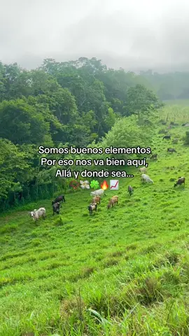 #viral #parati #ganado #📿🤠🤙🐄🧿🍀 #flypシ #frasesbelicas🍀📿🧿 #frasesmotivadoras #