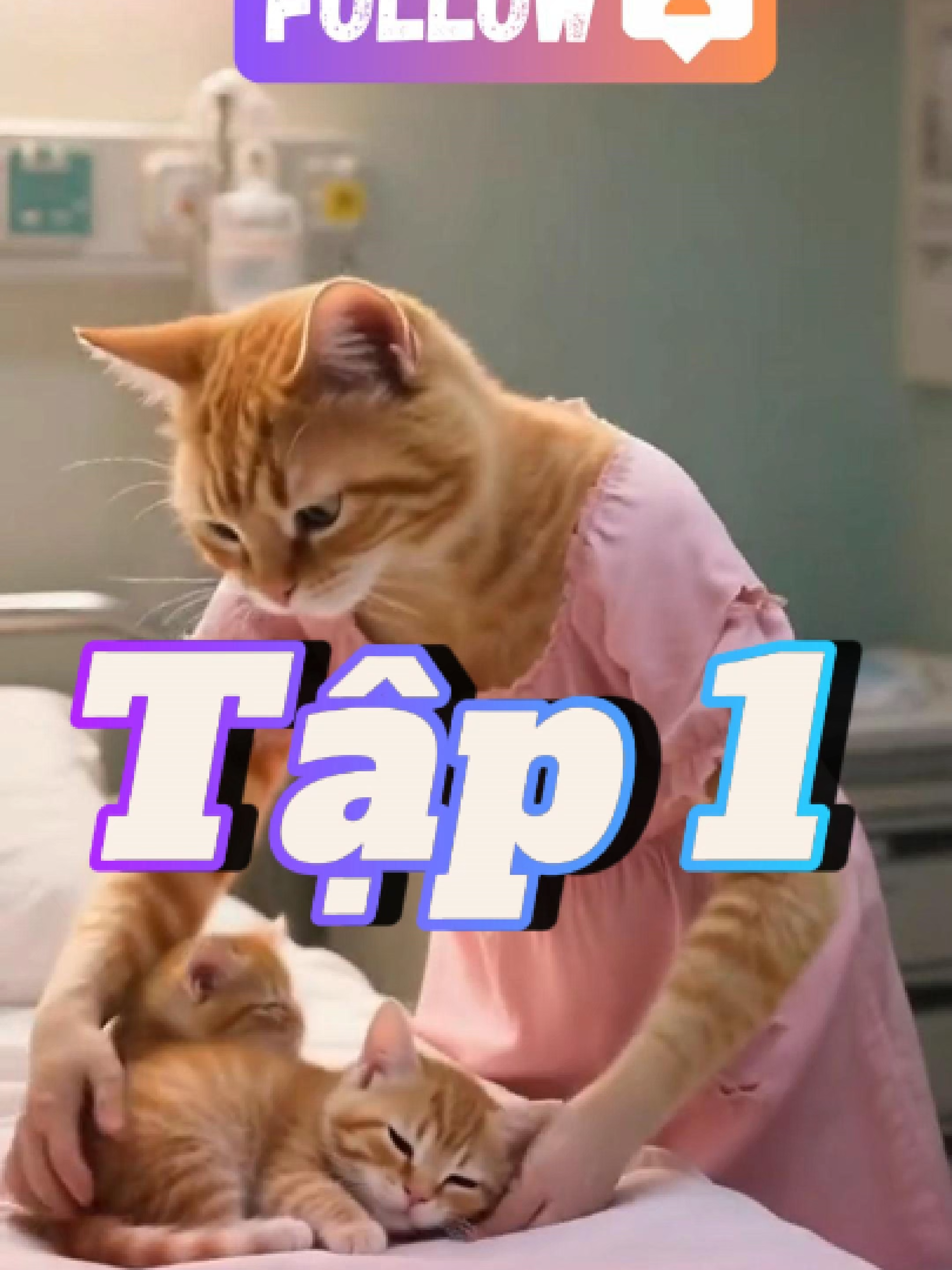 Hoán Đổi Cuộc Đời Tập 1#xuhuong #meo #viral #meoai #cat