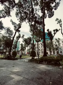 也不想看过去 我不敢去想未来。仅有的我希望你在很平静，不要还有痛吗⋯ 