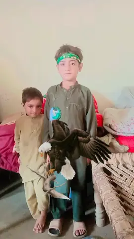 #foryou 🥷🥷🥷🥷🥷💪💪💪🤜🤜🤜🤜🦅🦅🦅🦅