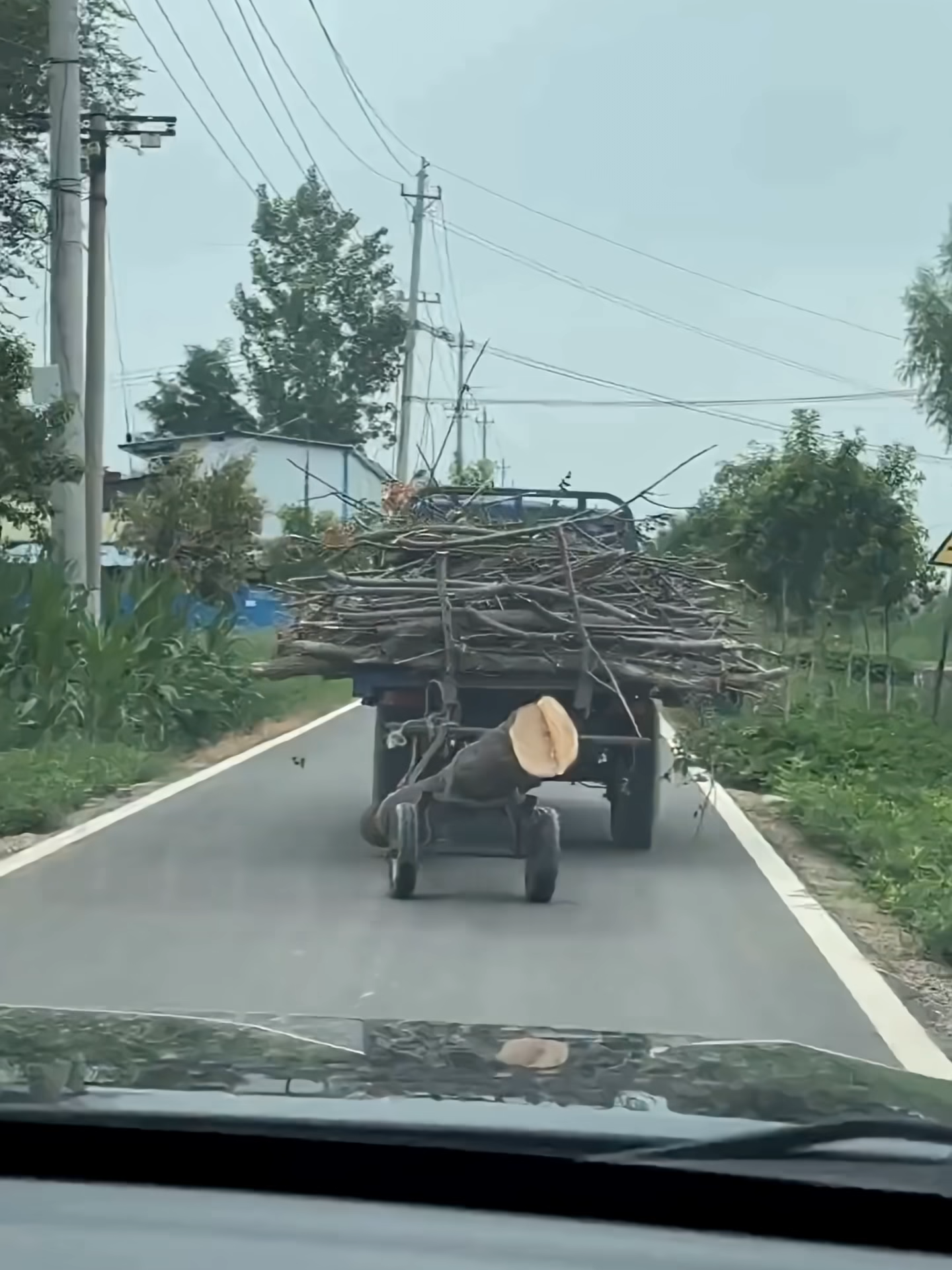 The head-shaking, body-swaying two-wheeled cart