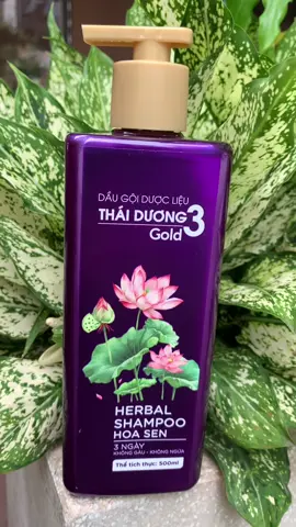 Dầu gội hoặc dầu xả thái dương 3 Gold chai 500ml / 300ml hoa sen