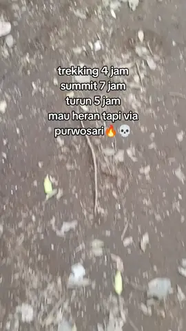 yang ilang kalah🗿 #arjunoviapurwosari #arjunowelirang #arjuno3339mdpl #pendakigunung #pendakiindonesia 