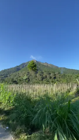 sepurane lo cahh#ngablak #magelang24jam #pegunungan #pagi 