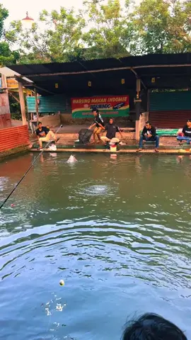 bawal master we lho tak release...opo meneh koe sk ini itu..