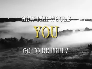 “I have a dream that my four little children will one day live in a nation where they will not be judged by the color of their skin but by the content of their character.” -MLK JR. #History #fyp #edit #historytok #historybuff #historyedit #real #crumble #labubu #human #thehumanexperience #beauty #beautiful #equal #times #need #to #change #dont #let #it #be #a #trend 