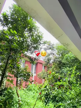 আমার সাথে থাকতে হলে অবশ্যই তোমার বেহায়া হতে হবে! আমি চাই কেও আমার জন্য পাগল হোক আমাকে তার সবটা দিয়ে ভালোবাসোক আমাকে হারানোর ভয় করুক,, কারণ আমার আবার কম ভালোবাসা সহ্য হয় নাহ🙂❤️‍🩹 . . . . . . . . . . . . . . . . #fn_nowshin_999 #foryou #foryoupage #viralvedio #fyyyyyyyypppppppppppp 