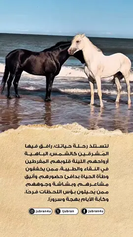 #fyp #foryoupage #تحفيز_الذات #تحفيز #عبارات_تحفيزية #ملهم #اقتباس #صباح_الخير 