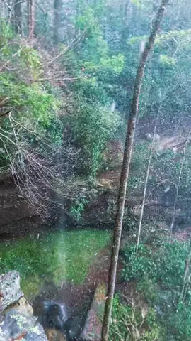 Winter is coming. #snow #nature #fyp