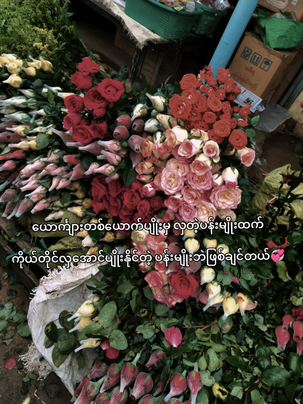 #ညို#foryou#@PYae☄💫 @Poe Mu 