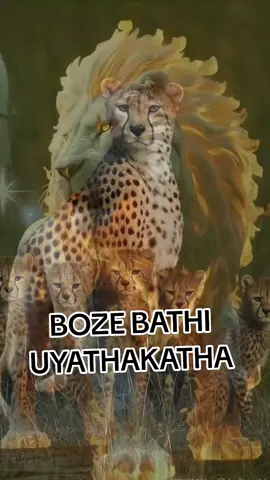 #zangoma #sangoma #isangoma #izangoma #izangomazodumo #foryoupageofficiall #trending #trend #trendingvideo #trendingsong #tiktok #tiktoker #tiktokers #sama28 #famous #family #loveyou #mthwakazination #mthwakazi #bulawayo #matebeleland #highlanders #ezrashisasibanda #ezrashisa #fyp #fypage #fyppppppppppppppppppppppp #fypp #ypf #fyp #foryou #foryoupage #foryourpage #foru #foryoupageofficiall #for #foryou #trend #trending #trendingvideo #trendingsong #tiktok #tiktoker #tiktokers #sama28 #famous #family #loveyou #lovestory #lover #celebrity #tribe #ndebeletribe #ndebeletribe #amandebeletiktok #amandebele #ndebele #famous #family #fyp #foryoupage #foryourpage #foru #foryoupageofficiall #for #foryou #trend #trend #trend #trendingsong #tiktok #tiktoker #tiktokers #sama28 #viral #viralvideo #viraltiktok #virall #viral_video #viral_video #viral_video #viral_video #virale #ypf #fypp #fyppppppppppppppppppppppp #fypage #fyp #foryoupage #foryourpage #foru #foryoupageofficiall #for #for #for #greenscreen #goviral #gaming #pov #fyp #fypp 