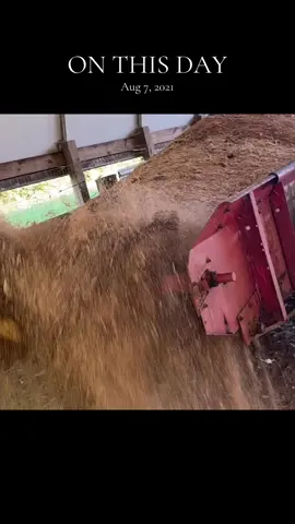 #onthisday #farmtok #ranchtok #olebrandselect #eatbeef 