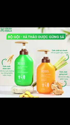 Dầu gội xả gừng sả ngăn tóc bết dầu, giảm gãy rụng #daugoithaoduoc #cocayhoala #daugoigungsa #daugoidau #xuhuong 