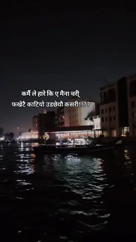 #creatorsearchinsights कर्मै ले हारे कि ए मैना चरी्  फखेटै काटियो उडछेयौ कसरी!!??#डिएर_जिन्दगी✍️✍️ #tiktoknepal🇳🇵_foryoupage #nepalimusic #dubailife @मुटुको_धडकन 