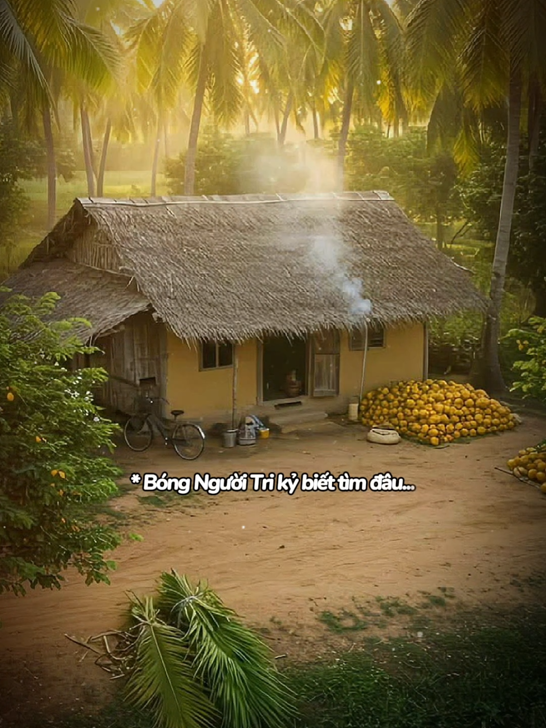 Tìm đâu cho thấy người yêu dấu, chỉ thấy cô đơn một nỗi sầu #poscast #videotamtrang #noibuonnoiem2