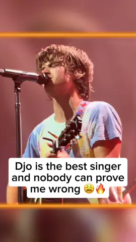 #djo #lollapalooza #music #concert #strangerthings #steve 
