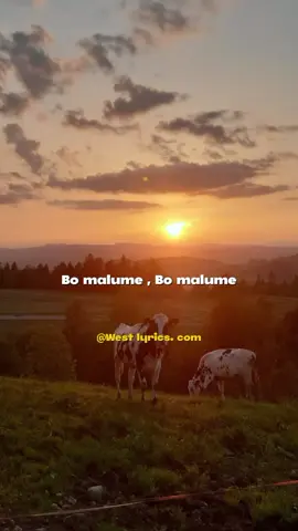 💍❤️ - @𝐌𝐎𝐑𝐃𝐄𝐂𝐀𝐈 we've been waiting 😭🔥#westlyrics #amapiano #samusic #mzansimusic #Lobola #lobolanegotiations #Love 