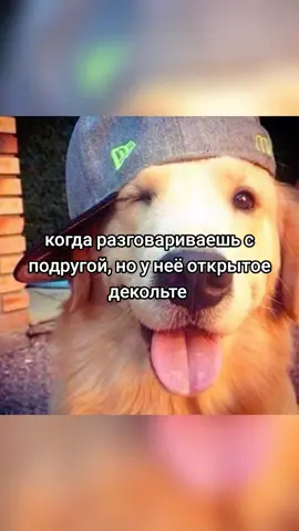я не смотрю, нет. #pov #fyp #рекомендации #мем #собаки #рофл #подруга #актив #жиза #репост #щп #2025 #вайб #рофл
