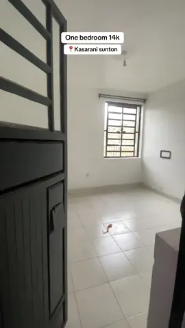 One bedroom in kasarani sunton 14k #houseforrent #huntwithus #dreamspace #fyp #kasaranitiktoker #nairobitiktokers #fypviral #viralvideotiktok #fypp #househuntinginnairobikenya #newlybuilt #seasons #rentals #realestate #apartmenttour #homeforsale #suntonkasarani #mwikikasarani #hunterskasarani
