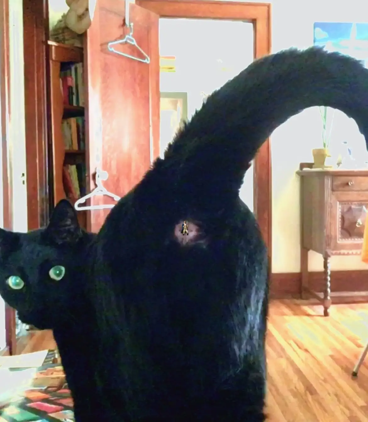 #fyp #viral #hamilton #hamiltonmusical #alexander #alexanderhamilton #eliza #elizahamilton #viralvideo #tiktok #fypシ #fypシ゚viral #funny #relatable 