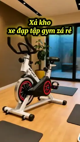 Xả kho xe đạp tập gym tại nha#xedapthethao #xedaptapgym #xedaptaptheductainha #thinhhanhtiktok #xuhuong 