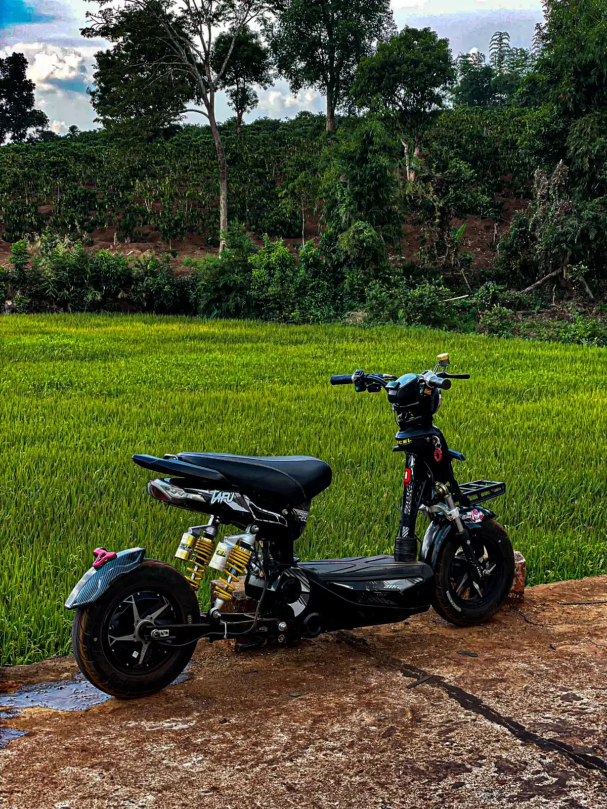 Hẹn 1 Ngày Ko Xa combo Lớn 🤩💞✈️#xeđiệndọnkiểng🇻🇳 #đakdoagialai #maulenxuhuongtiktok 