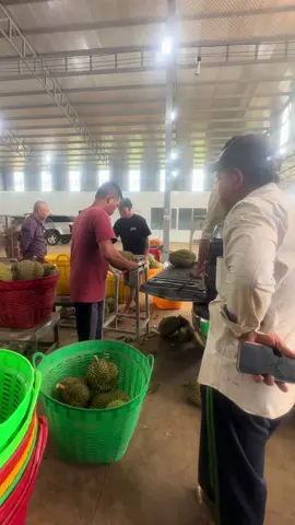 Thợ vip đồng nai #daknong #vuatuansang #sr 