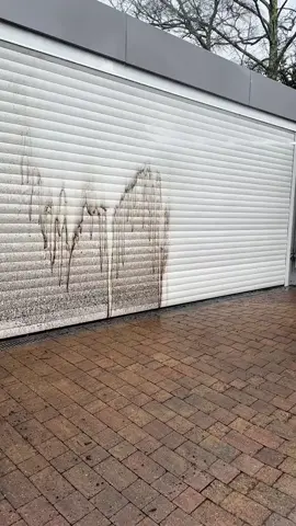 Amazing #pressure #pressurewashing #cleaning #clean #asmr #fyp 