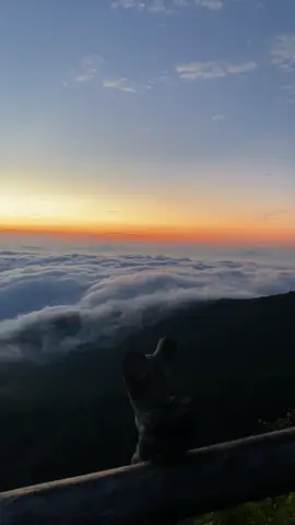 bener bener di kasih lautan awan sama sagara🥹 #puncaksagara2132mdpl #sagara #mountain #sunrise #vibes