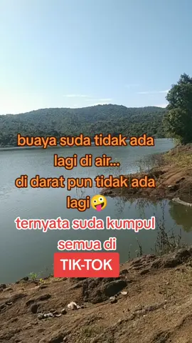 #fyp
