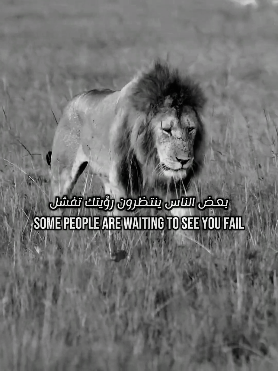 Let them wait forever .. #mentality #motivation #citation #work #ai 