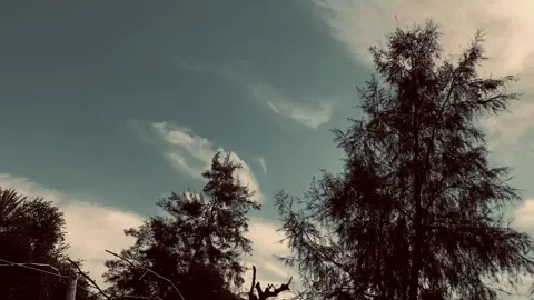 #عباراتكم_اصمم_عليهآ #عباراتكم_الفخمه📿📌 #تصويري_احترافي_الاجواء👌🏻🕊😴 #شعراء_وذواقين_الشعر_الشعبي_العراقي #عباراتكم_الفخمه📿📌 #عبارات_جميلة_وقويه😉🖤 #اقتباسات #اغاني_مسرعه🎧🖤 #اغاني_مسرعه💥 #جمال_الطبيعه 