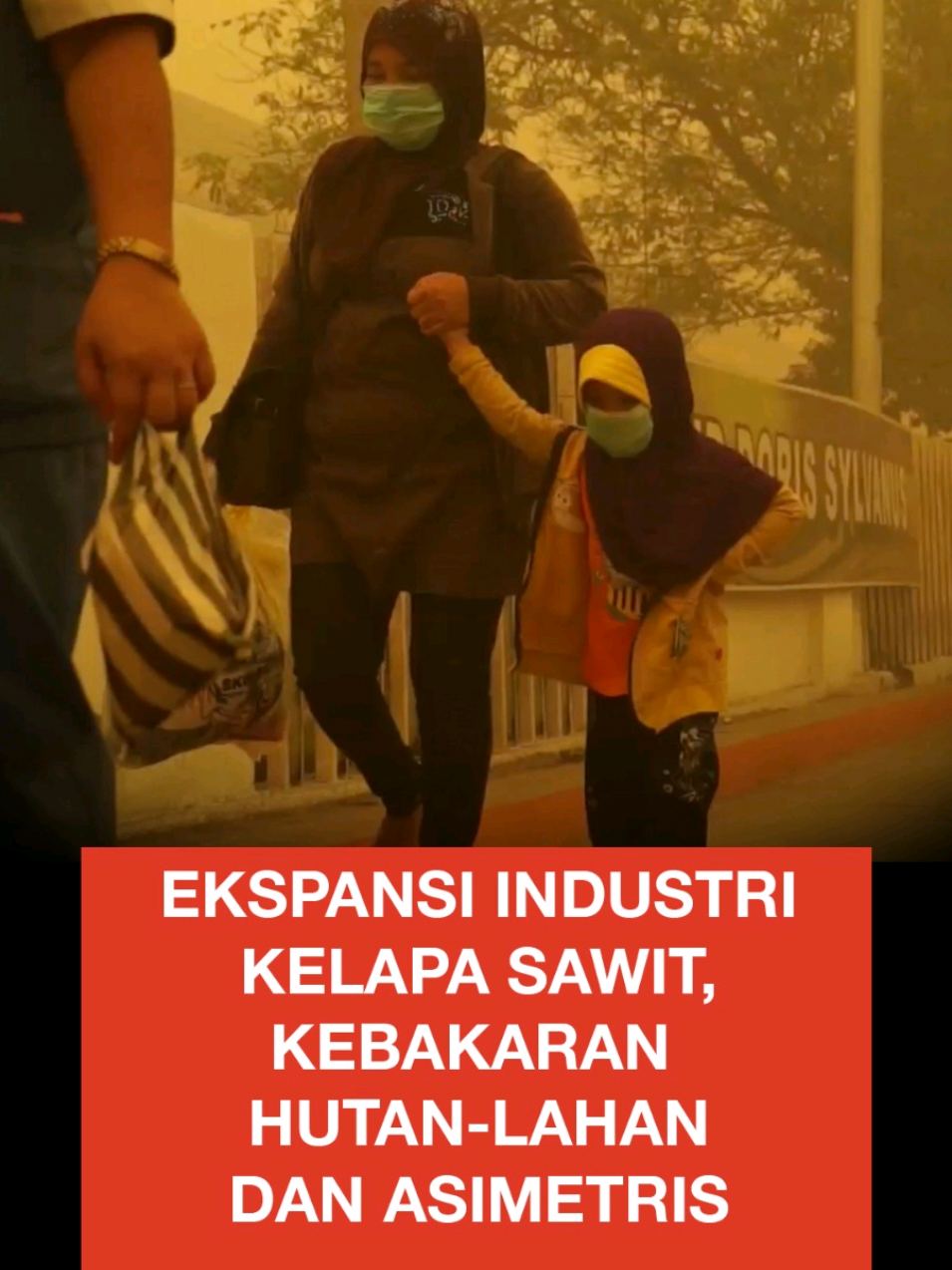 Kebakaran hutan dan lahan di Indonesia kembali terjadi. Hingga akhir Juli 2025, sudah ada lebih dari 8500 hektar yang terbakar. Dalam film Asimetris, pada 20 Oktober 2015 kabut asap tebal akibat kebakaran hutan dan lahan menjadikan tingkat polusi udara mencapai 1300 persen dari ambang kualitas udara sehat bagi manusia. Di Kalimantan dan Sumatra, sebanyak 19 orang meninggal dunia, sementara setengah juta lainnya menderita Infeksi Saluran Pernafasan Akut (ISPA). Saksikan “Asimetris” di Kanal Youtube Watchdoc Images: https://youtu.be/2OhaxAalJdk #KebakaranHutan #KabutAsap #Watchdoc